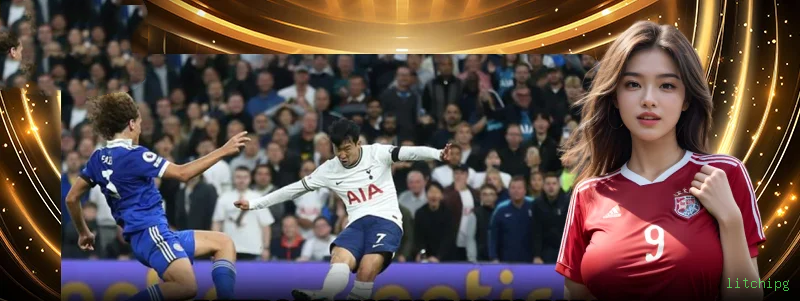 Termos de Serviço litchipg