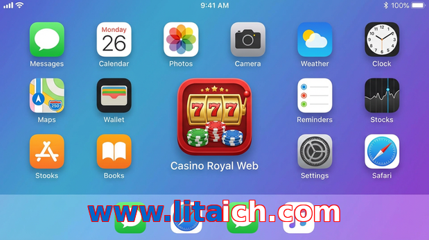 Payment and PKR controls in Www.litaich.com